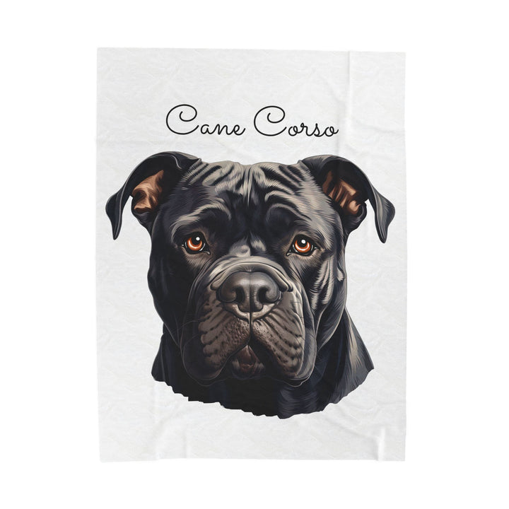 Cane Corso Velveteen Plush Blanket with White Background - 3 Sizes available cozy throw dog lover - Pet mom gift