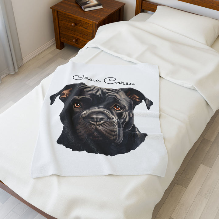 Cane Corso Velveteen Plush Blanket with White Background - 3 Sizes available cozy throw dog lover - Pet mom gift