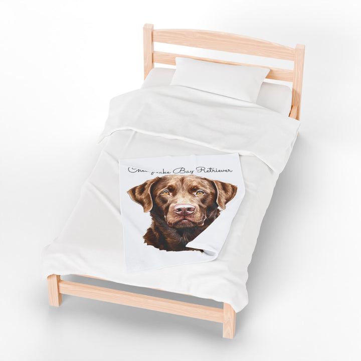 Chesapeake Bay Retriever Velveteen Plush Blanket with White Background - 3 Sizes available cozy throw dog lover - Pet mom gift