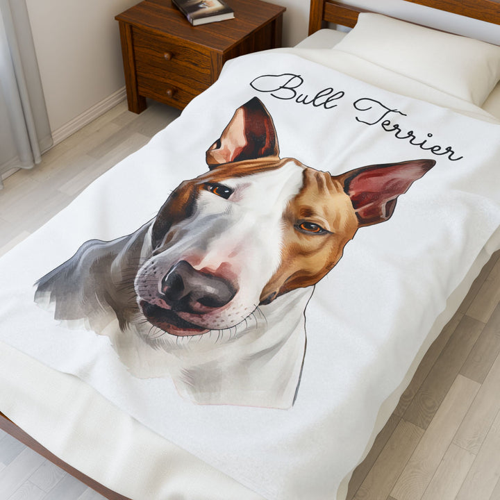 Bull Terrier Velveteen Plush Blanket with White Background - 3 Sizes available cozy throw dog lover - Pet mom gift