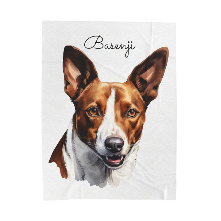 Basenji Velveteen Plush Blanket White Background - 3 Sizes available cozy throw dog lover