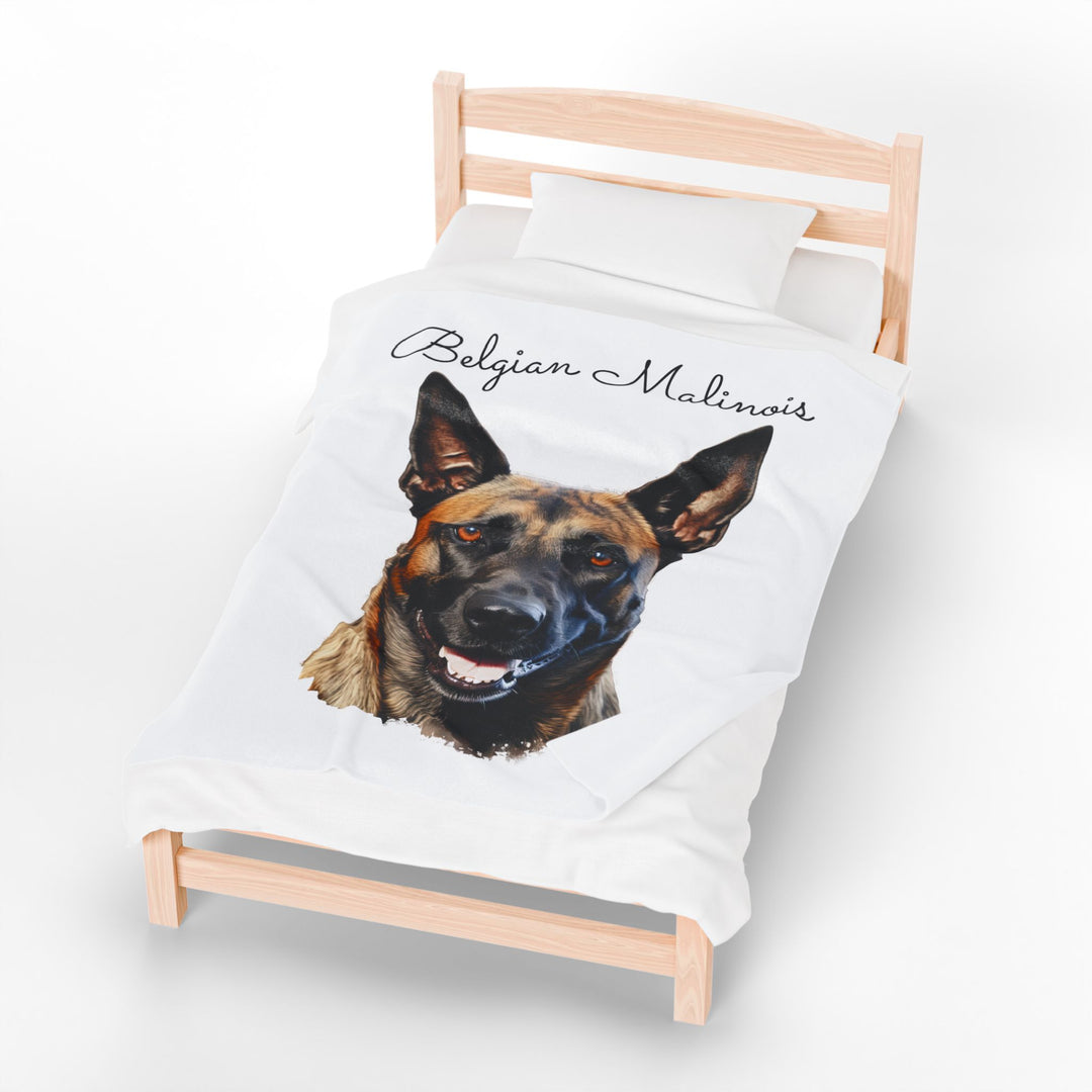 Belgian Malinois Velveteen Plush Blanket with White Background - 3 Sizes available cozy throw dog lover - Pet mom gift