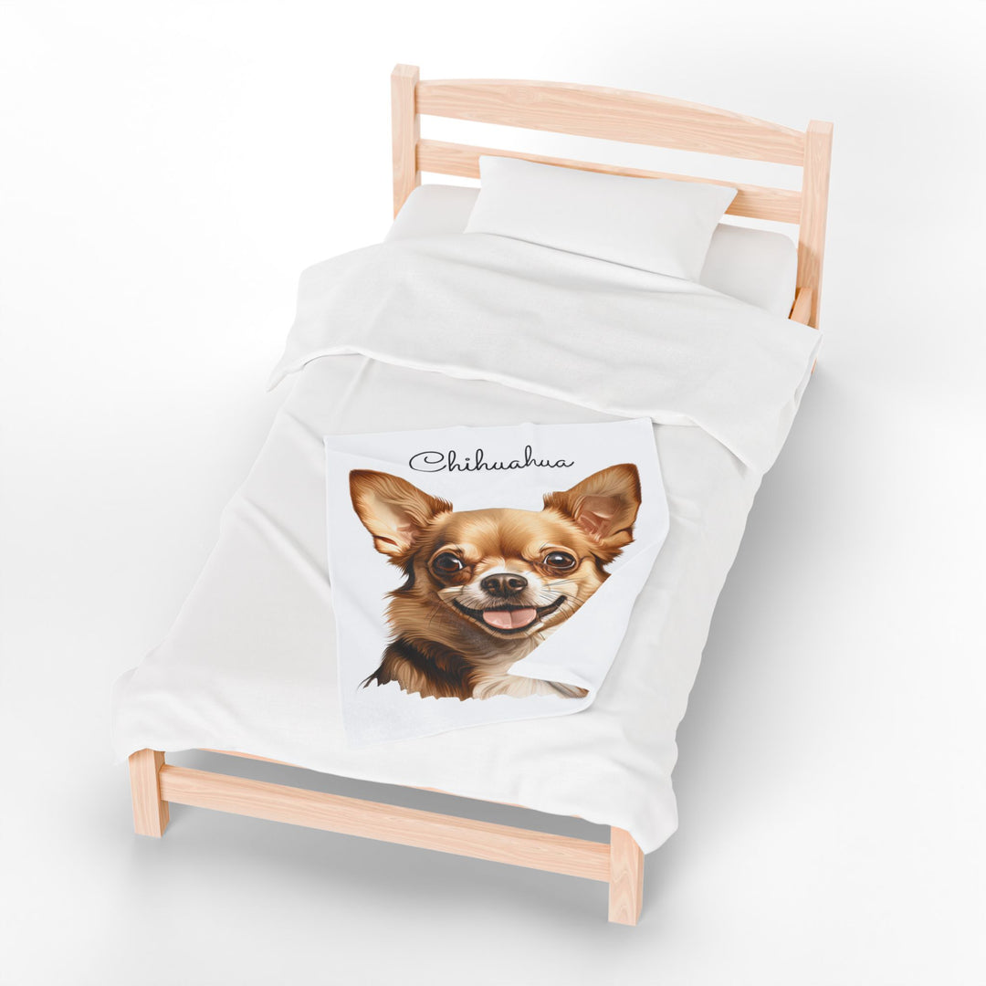 Chihuahua Velveteen Plush Blanket with White Background - 3 Sizes available cozy throw dog lover - Fawn Gold Smooth Coat Chihuahua