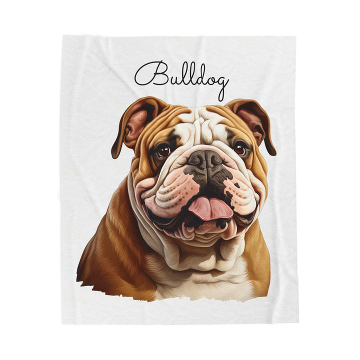 Bulldog Velveteen Plush Blanket with White Background - 3 Sizes available cozy throw dog lover - Pet mom gift