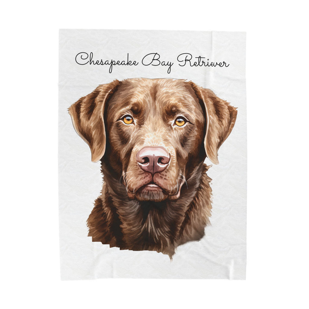 Chesapeake Bay Retriever Velveteen Plush Blanket with White Background - 3 Sizes available cozy throw dog lover - Pet mom gift