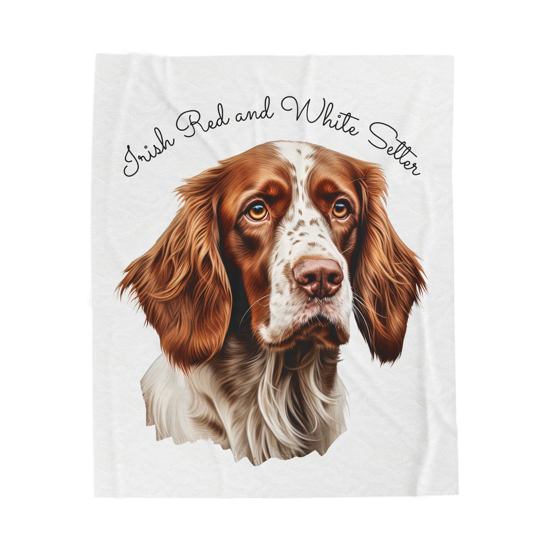 Irish Red and White Setter Portrait Velveteen Plush Blanket