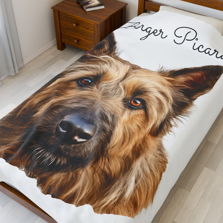 Berger Picard Velveteen Plush Blanket with White Background - 3 Sizes available cozy throw dog lover - Pet mom gift