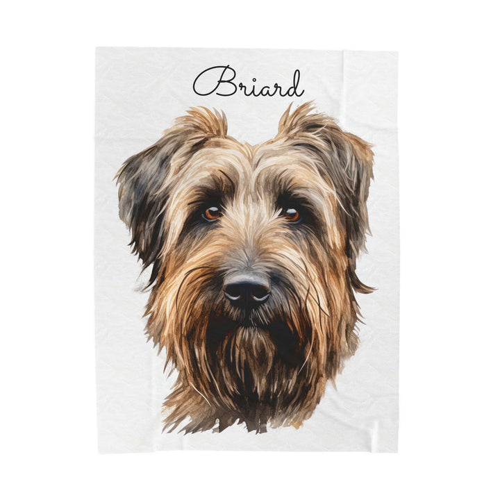 Briard Velveteen Plush Blanket with White Background - 3 Sizes available cozy throw dog lover - Pet mom gift