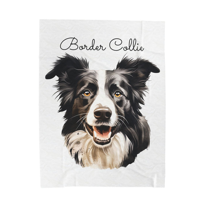 Border Collie Velveteen Plush Blanket with White Background - 3 Sizes available cozy throw dog lover - Pet mom gift