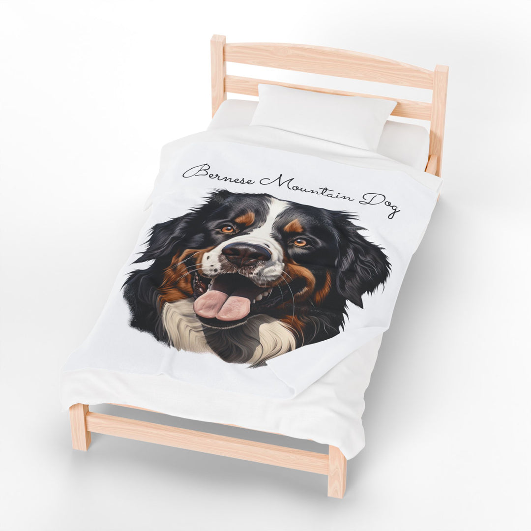 Bernese Mountain Dog Velveteen Plush Blanket with White Background - 3 Sizes available cozy throw dog lover - Pet mom gift