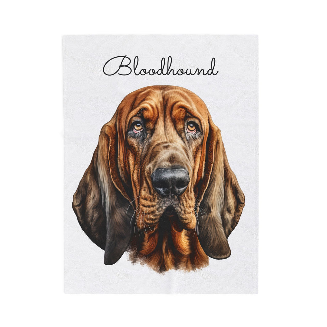 Bloodhound Velveteen Plush Blanket with White Background - 3 Sizes available cozy throw dog lover - Pet mom gift