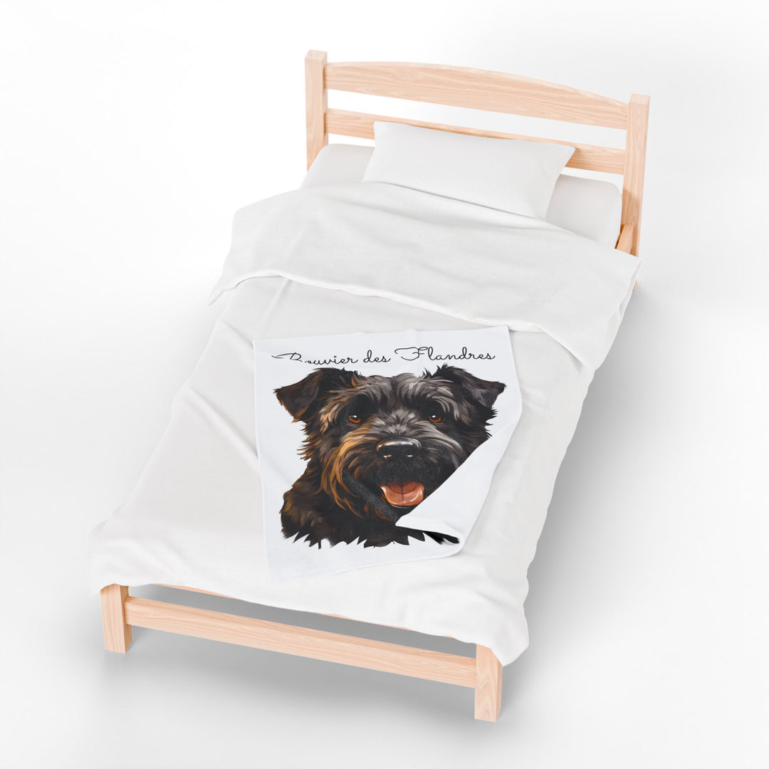 Bouvier des Flandres Velveteen Plush Blanket with White Background - 3 Sizes available cozy throw dog lover - Pet mom gift