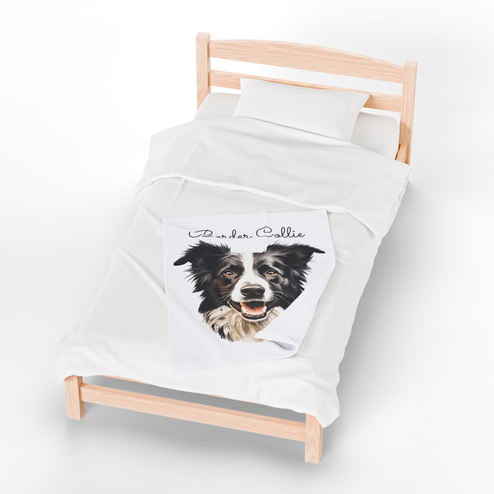 Border Collie Velveteen Plush Blanket with White Background - 3 Sizes available cozy throw dog lover - Pet mom gift