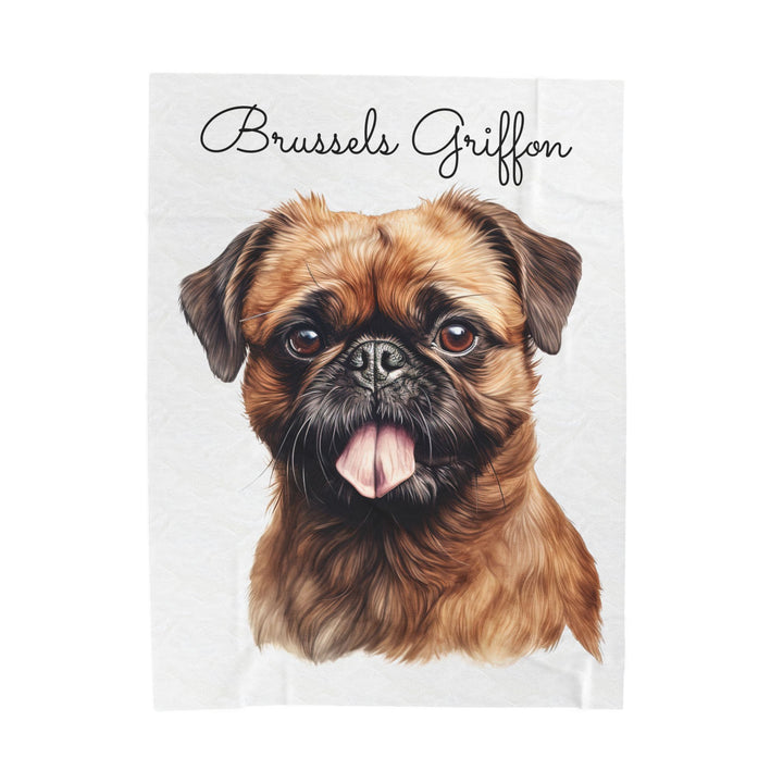 Brussels Griffon Velveteen Plush Blanket with White Background - 3 Sizes available cozy throw dog lover - Pet mom gift