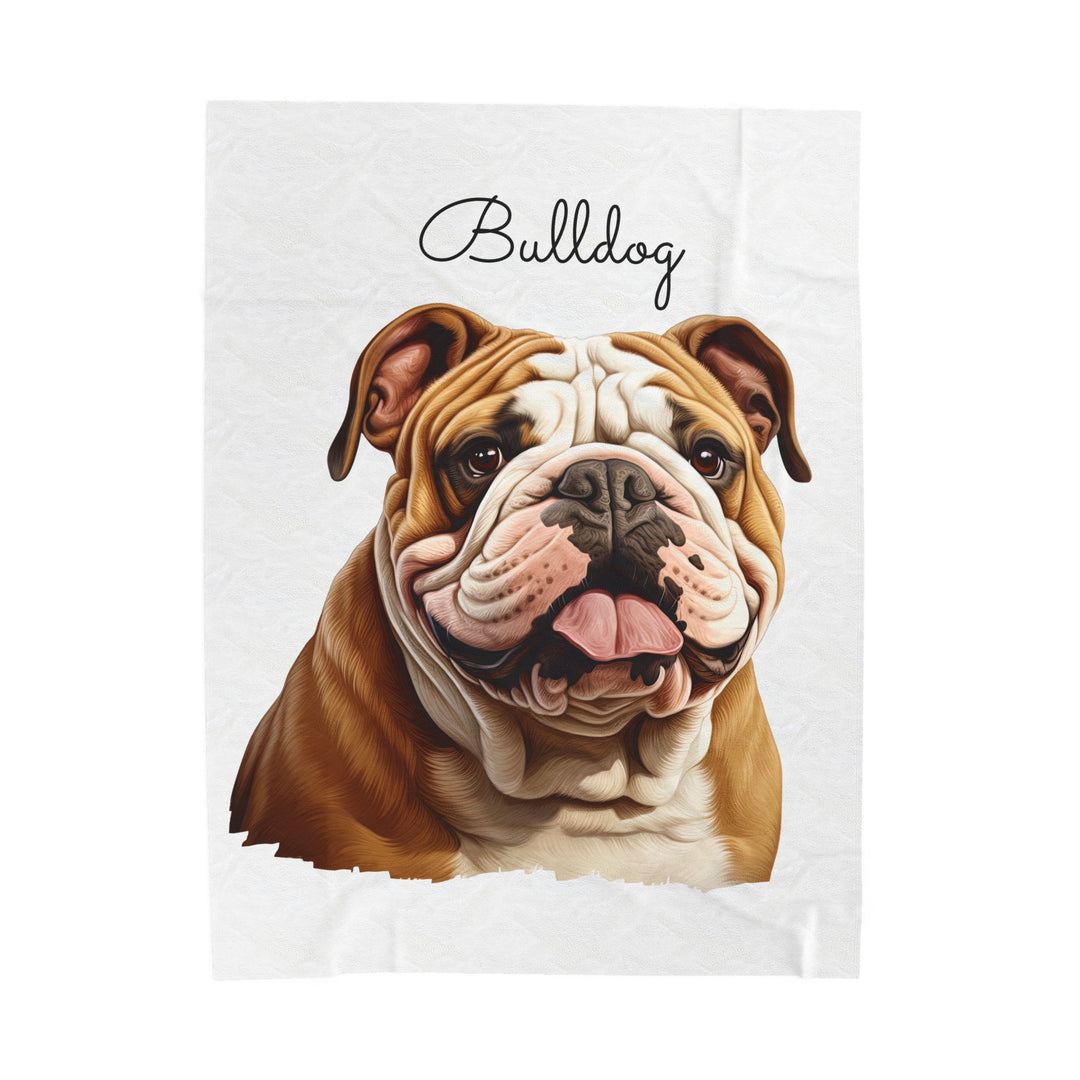 Bulldog Velveteen Plush Blanket with White Background - 3 Sizes available cozy throw dog lover - Pet mom gift
