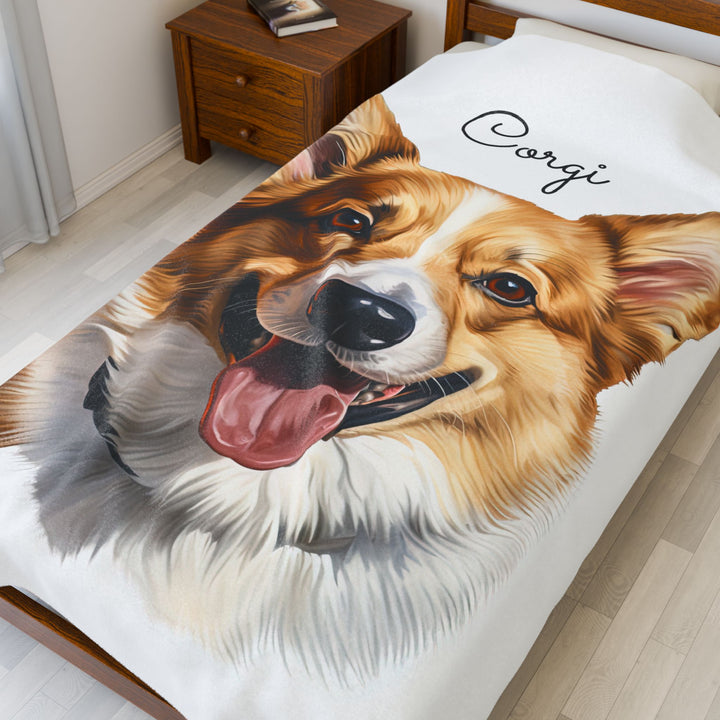 Corgi Velveteen Plush Blanket with White Background - 3 Sizes available cozy throw dog lover - Pet mom gift - Pembroke Welsh Corgi