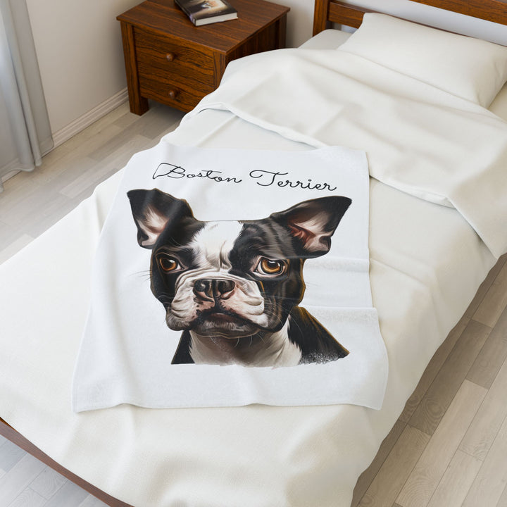 Boston Terrier Velveteen Plush Blanket with White Background - 3 Sizes available cozy throw dog lover - Pet mom gift