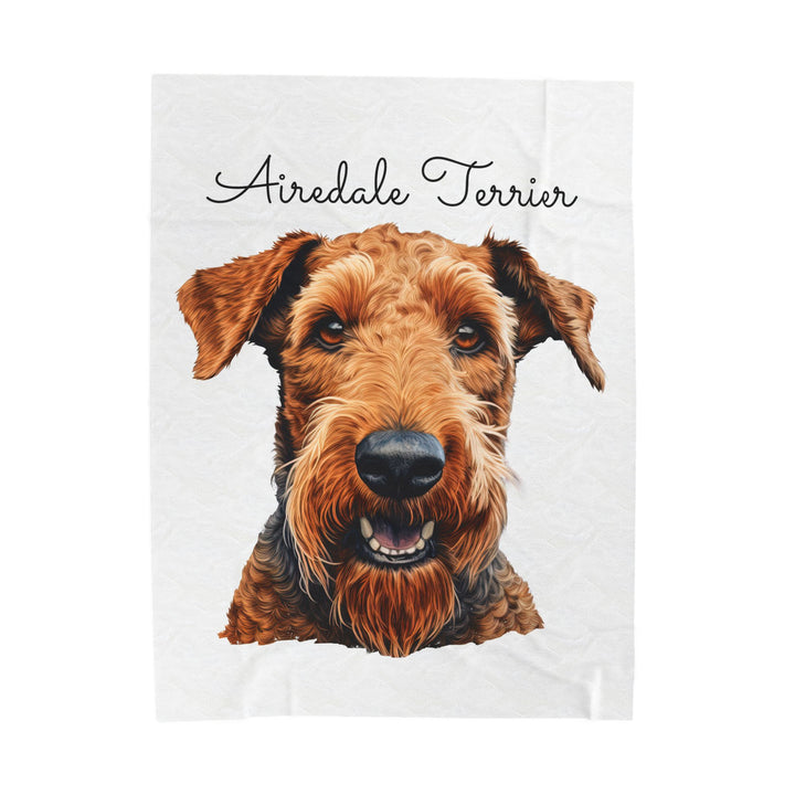 Airedale Terrier Velveteen Plush Blanket with White Background - 3 Sizes available cozy throw dog lover