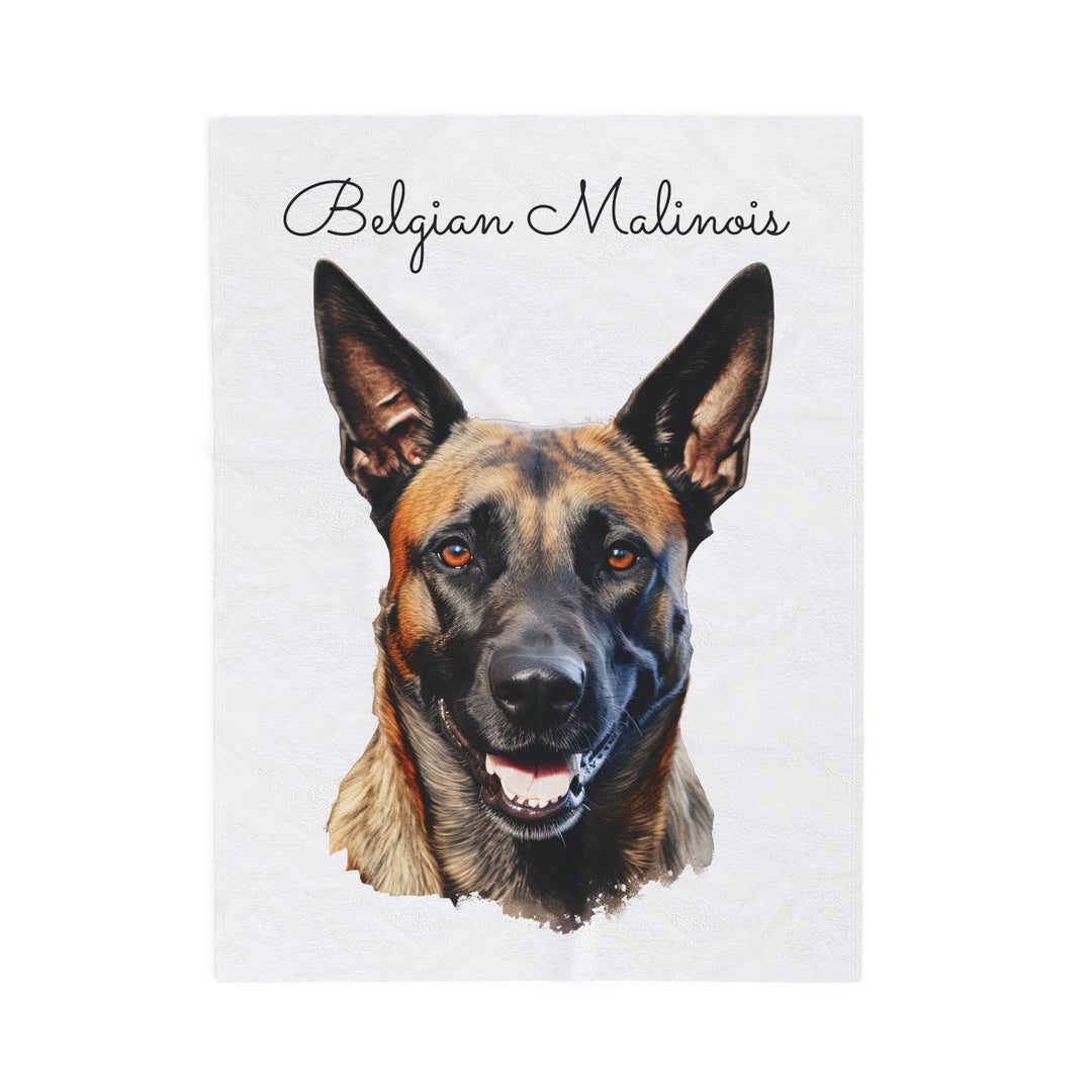 Belgian Malinois Velveteen Plush Blanket with White Background - 3 Sizes available cozy throw dog lover - Pet mom gift