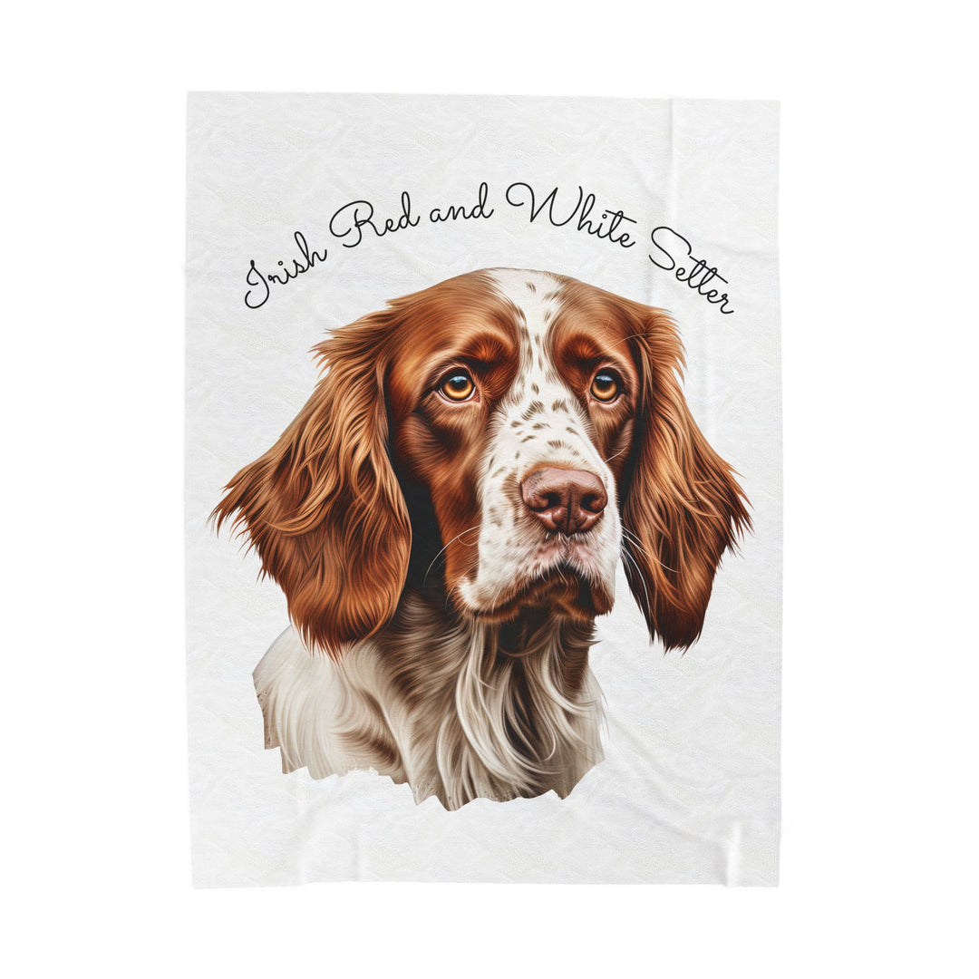 Irish Red and White Setter Portrait Velveteen Plush Blanket