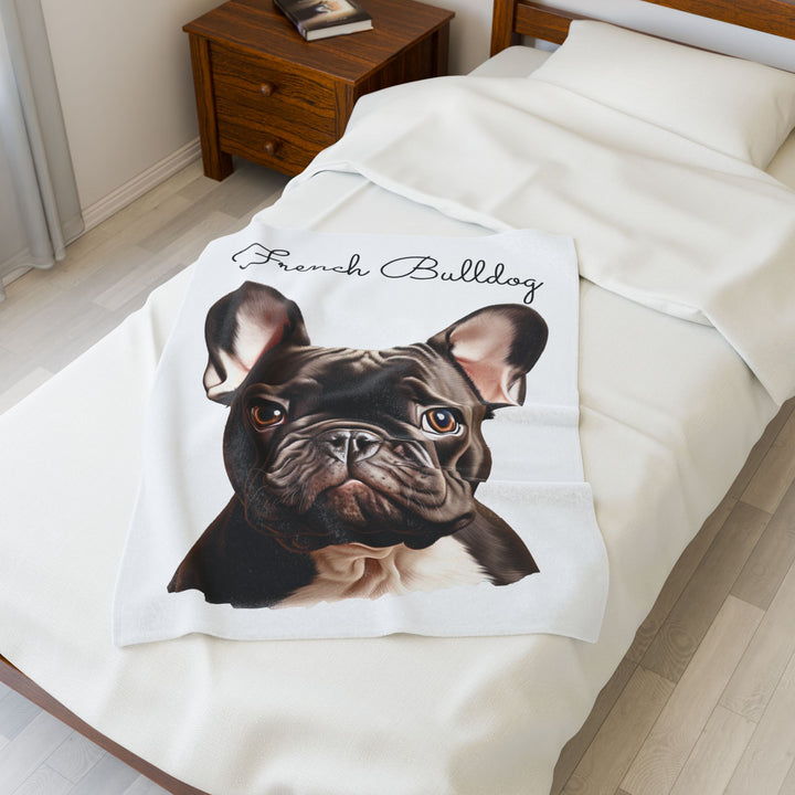 French Bulldog Velveteen Plush Blanket with White Background - 3 Sizes available cozy throw dog lover - Pet mom gift