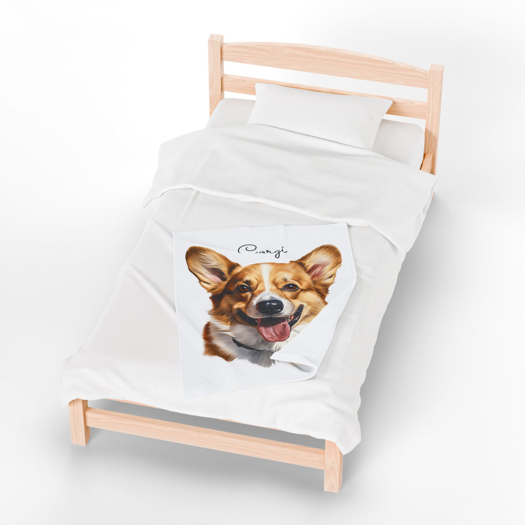 Corgi Velveteen Plush Blanket with White Background - 3 Sizes available cozy throw dog lover - Pet mom gift - Pembroke Welsh Corgi