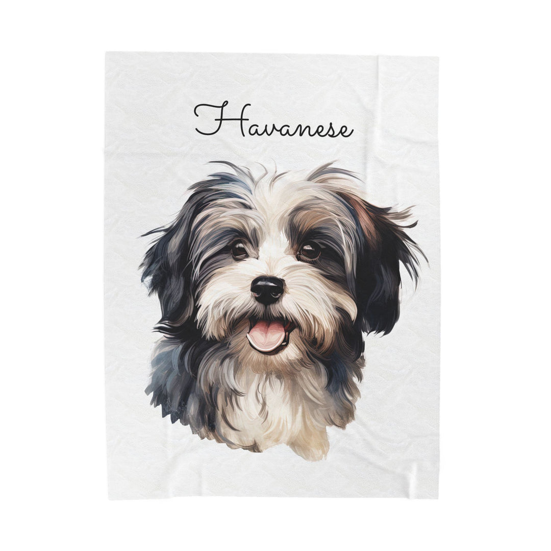 Black and White Havanese Dog Velveteen Plush Blanket | Cozy Throw - Embellish by Jackie - Handmade Greeting Cards