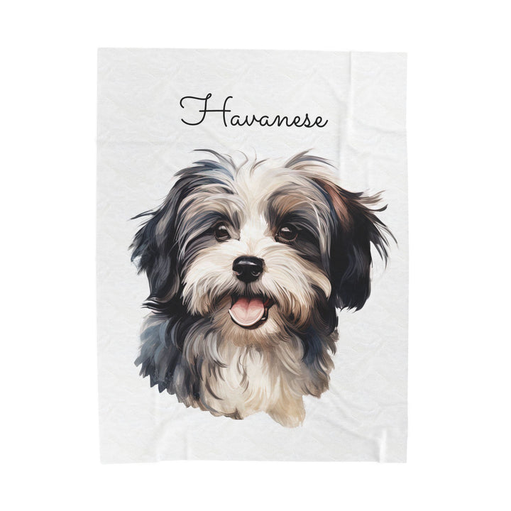Black and White Havanese Dog Velveteen Plush Blanket | Cozy Throw - Embellish by Jackie - Handmade Greeting Cards