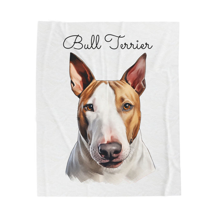 Bull Terrier Velveteen Plush Blanket with White Background - 3 Sizes available cozy throw dog lover - Pet mom gift
