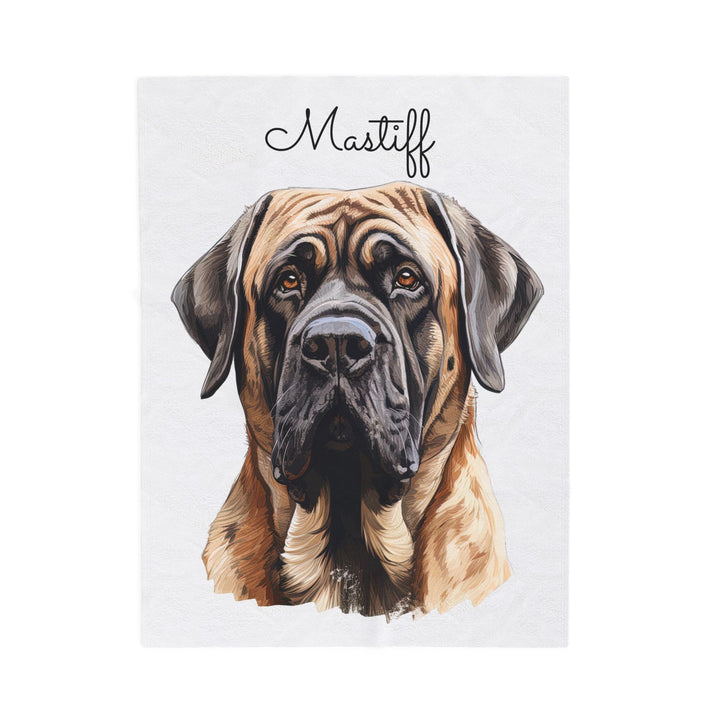 English Mastiff Velveteen Plush Blanket with White Background - 3 Sizes available cozy throw dog lover - Pet mom gift