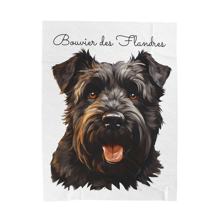 Bouvier des Flandres Velveteen Plush Blanket with White Background - 3 Sizes available cozy throw dog lover - Pet mom gift