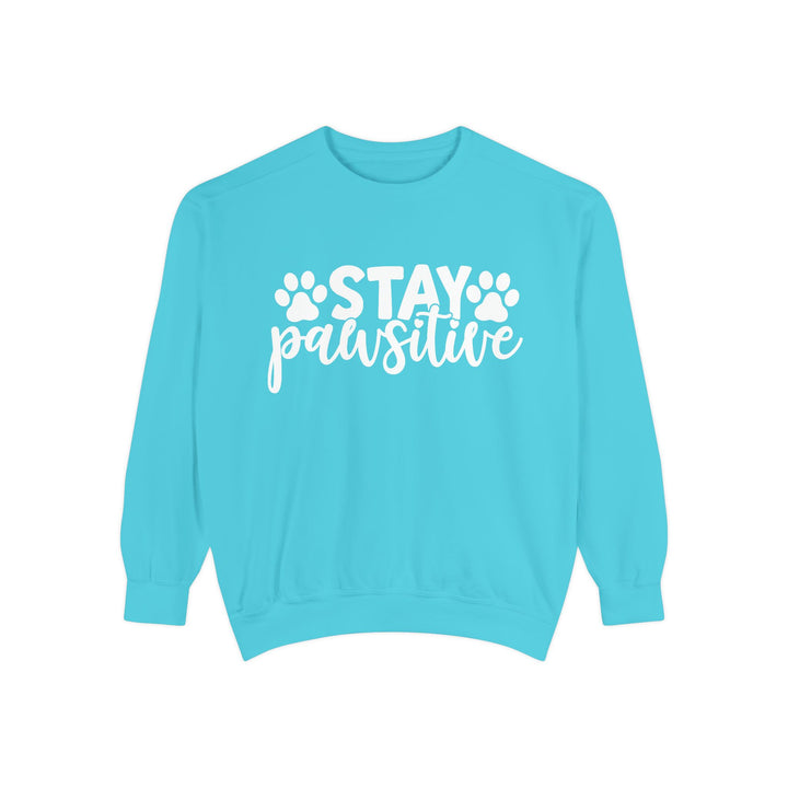 Stay Pawsitive - Comfort Colors Cozy Sweatshirt Sizes 2XL & 3XL Multiple Colors