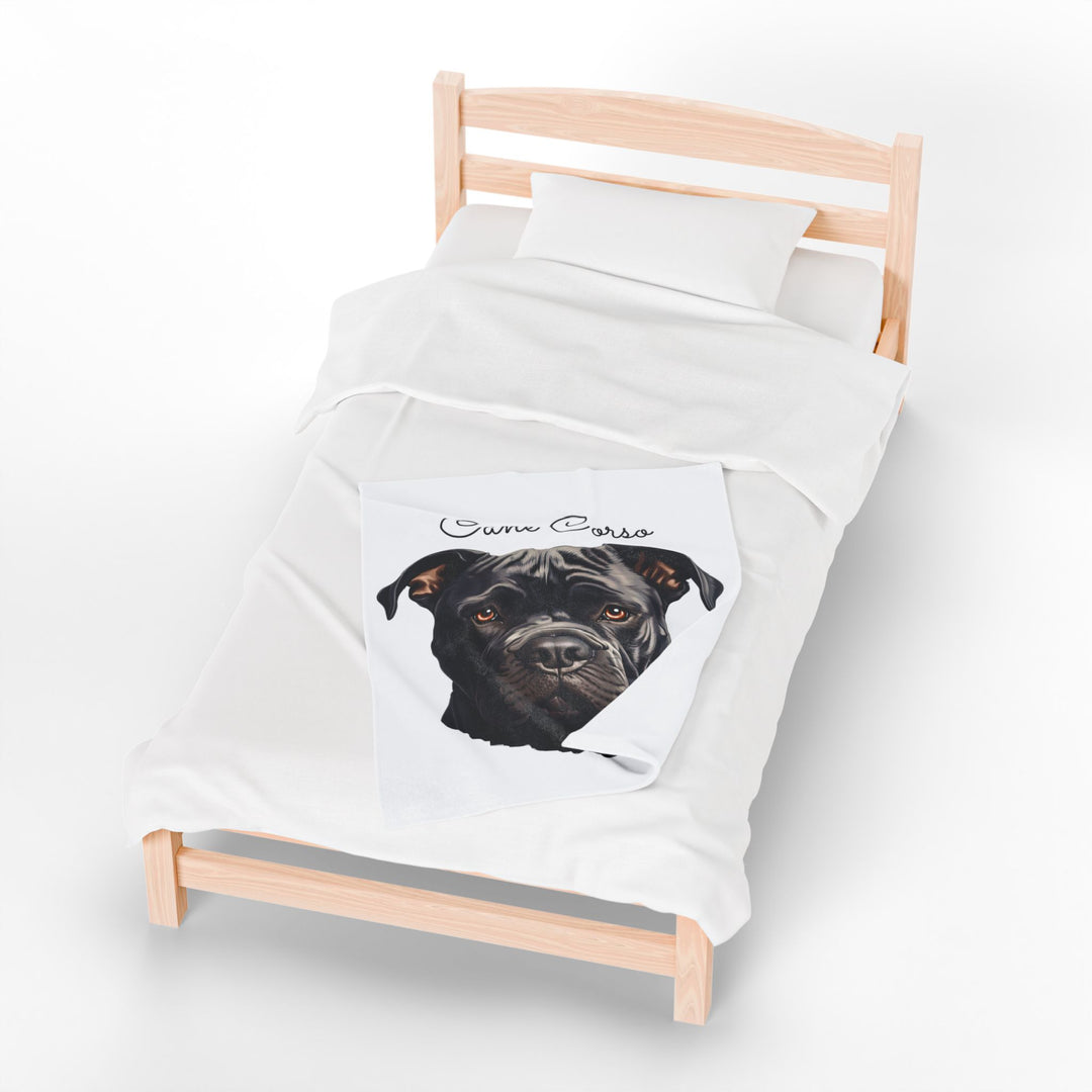 Cane Corso Velveteen Plush Blanket with White Background - 3 Sizes available cozy throw dog lover - Pet mom gift