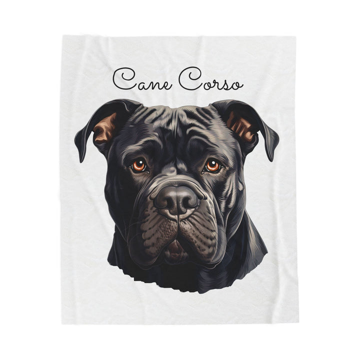 Cane Corso Velveteen Plush Blanket with White Background - 3 Sizes available cozy throw dog lover - Pet mom gift