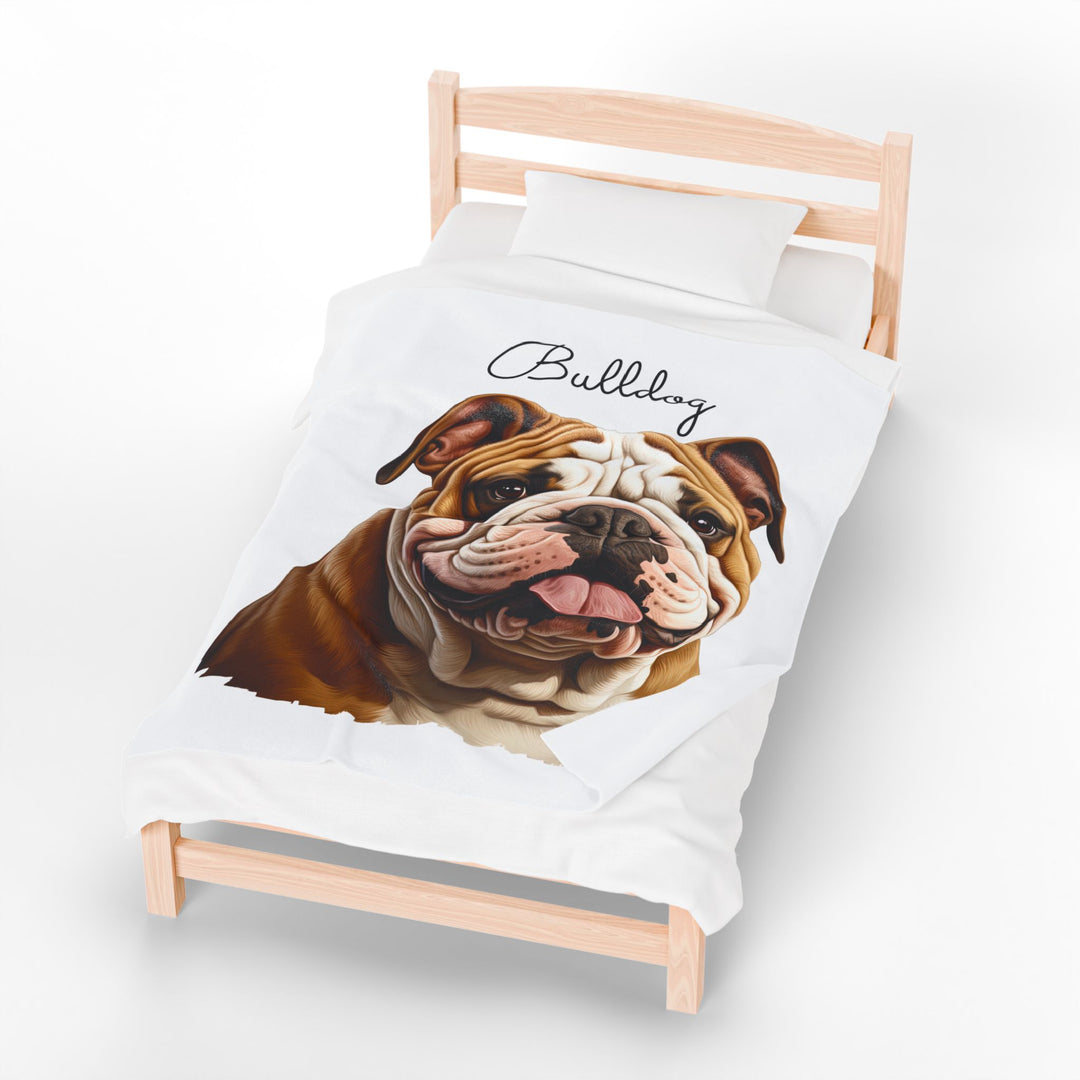 Bulldog Velveteen Plush Blanket with White Background - 3 Sizes available cozy throw dog lover - Pet mom gift
