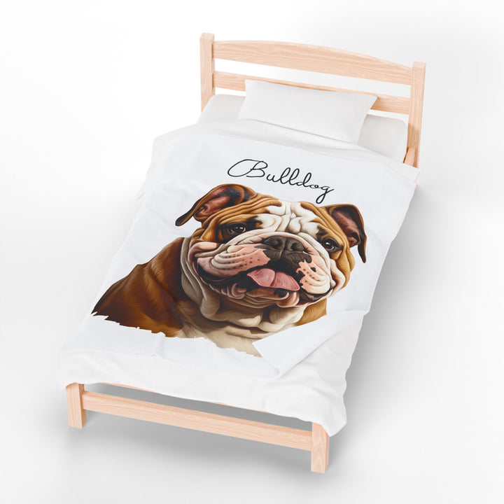 Bulldog Velveteen Plush Blanket with White Background - 3 Sizes available cozy throw dog lover - Pet mom gift