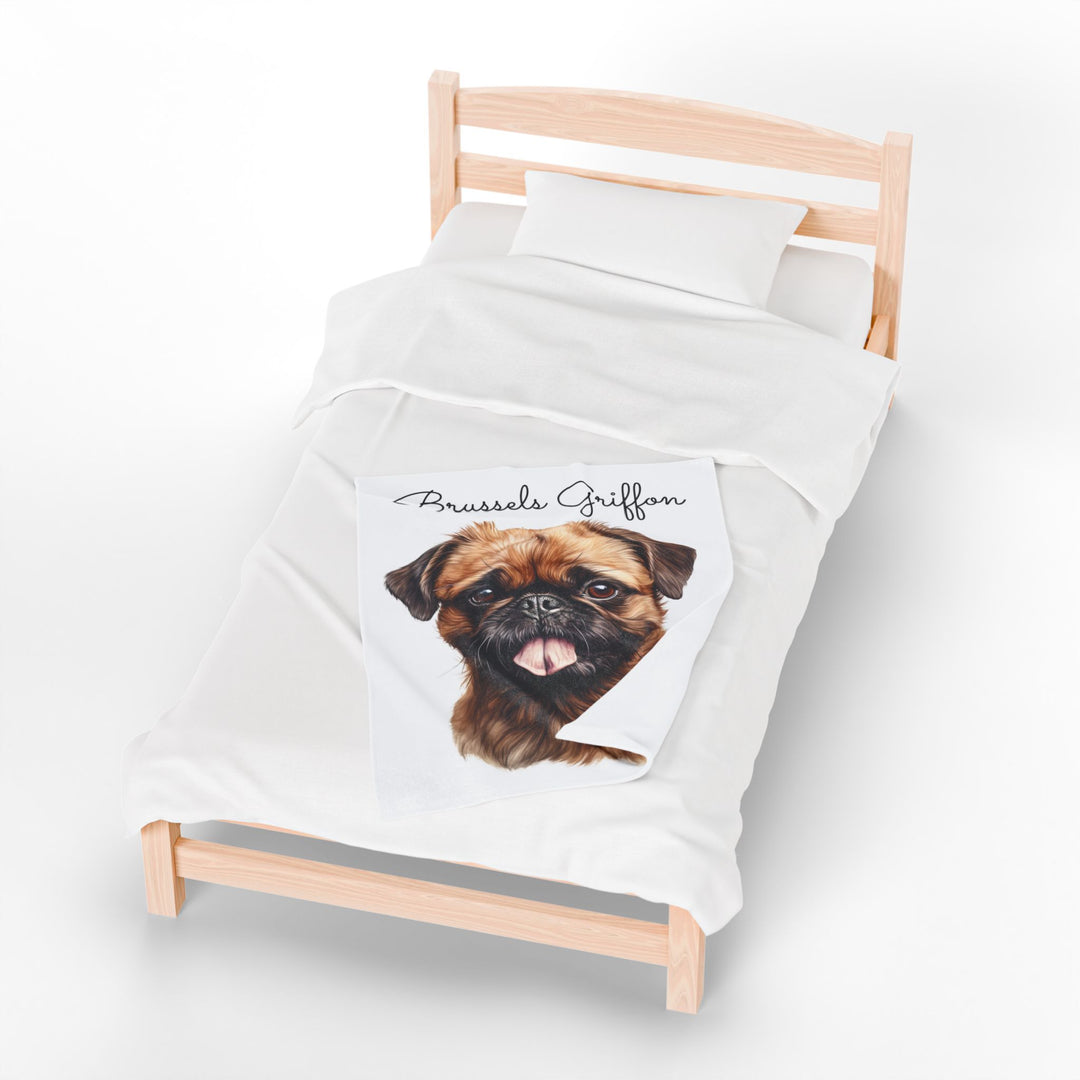 Brussels Griffon Velveteen Plush Blanket with White Background - 3 Sizes available cozy throw dog lover - Pet mom gift