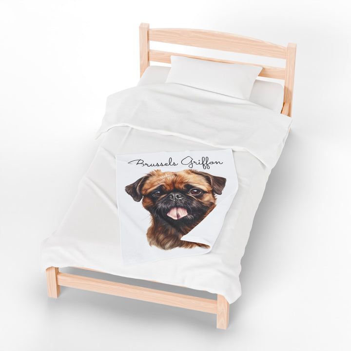 Brussels Griffon Velveteen Plush Blanket with White Background - 3 Sizes available cozy throw dog lover - Pet mom gift
