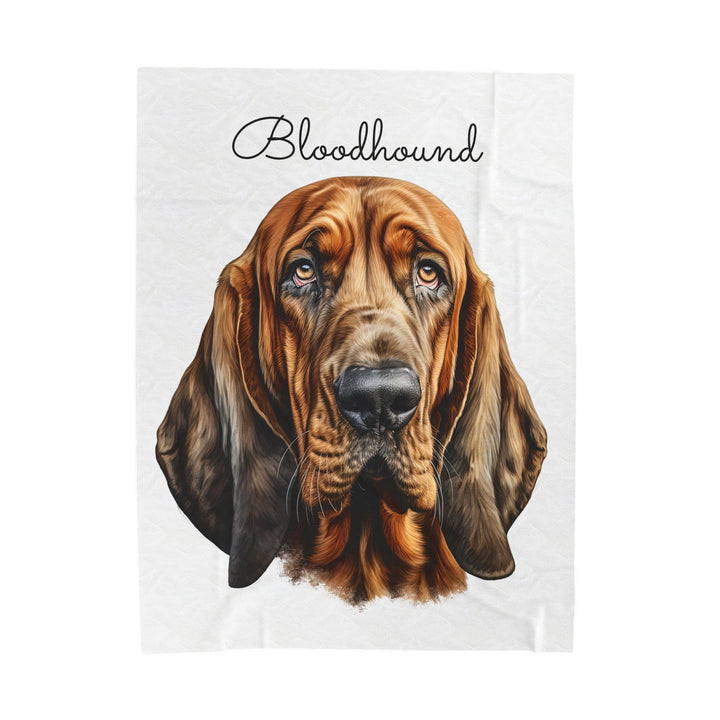 Bloodhound Velveteen Plush Blanket with White Background - 3 Sizes available cozy throw dog lover - Pet mom gift