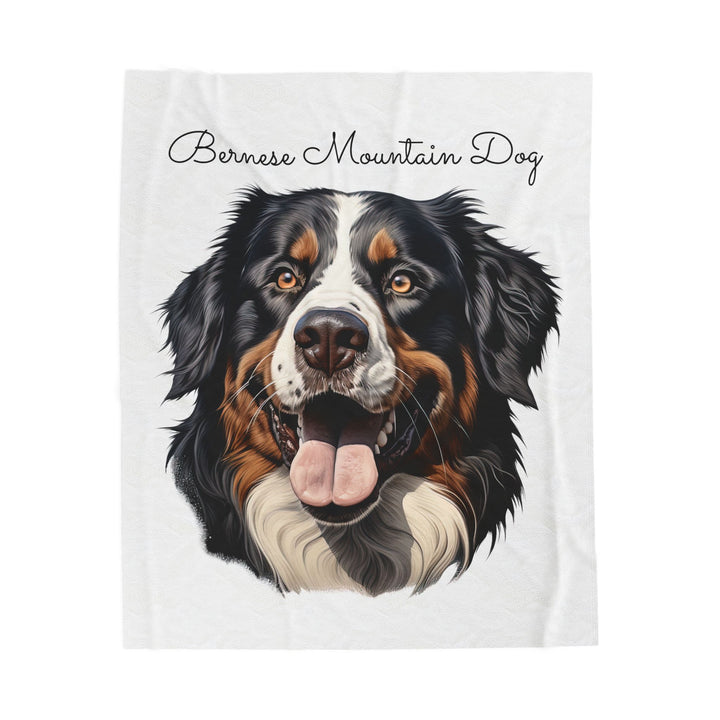 Bernese Mountain Dog Velveteen Plush Blanket with White Background - 3 Sizes available cozy throw dog lover - Pet mom gift