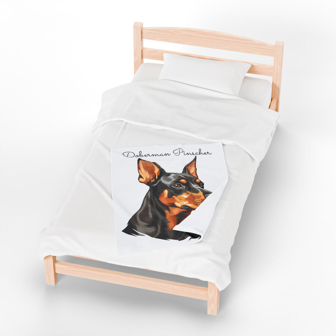Doberman Pinscher Velveteen Plush Blanket with White Background - 3 Sizes available cozy throw dog lover - Pet mom gift