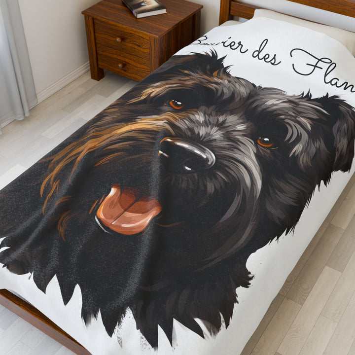 Bouvier des Flandres Velveteen Plush Blanket with White Background - 3 Sizes available cozy throw dog lover - Pet mom gift