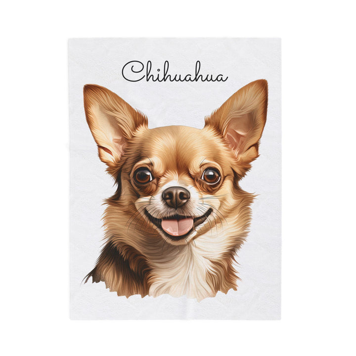 Chihuahua Velveteen Plush Blanket with White Background - 3 Sizes available cozy throw dog lover - Fawn Gold Smooth Coat Chihuahua