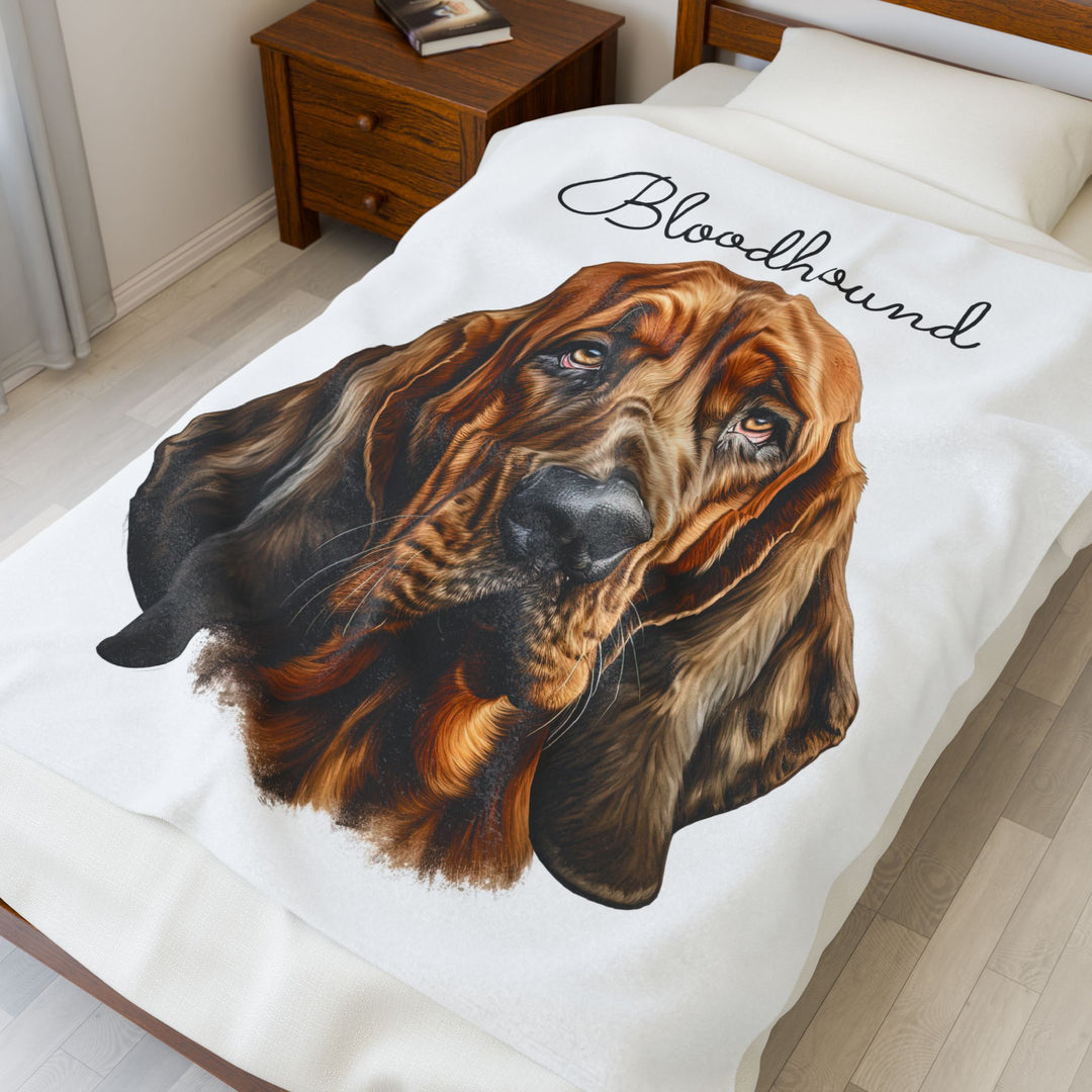 Bloodhound Velveteen Plush Blanket with White Background - 3 Sizes available cozy throw dog lover - Pet mom gift