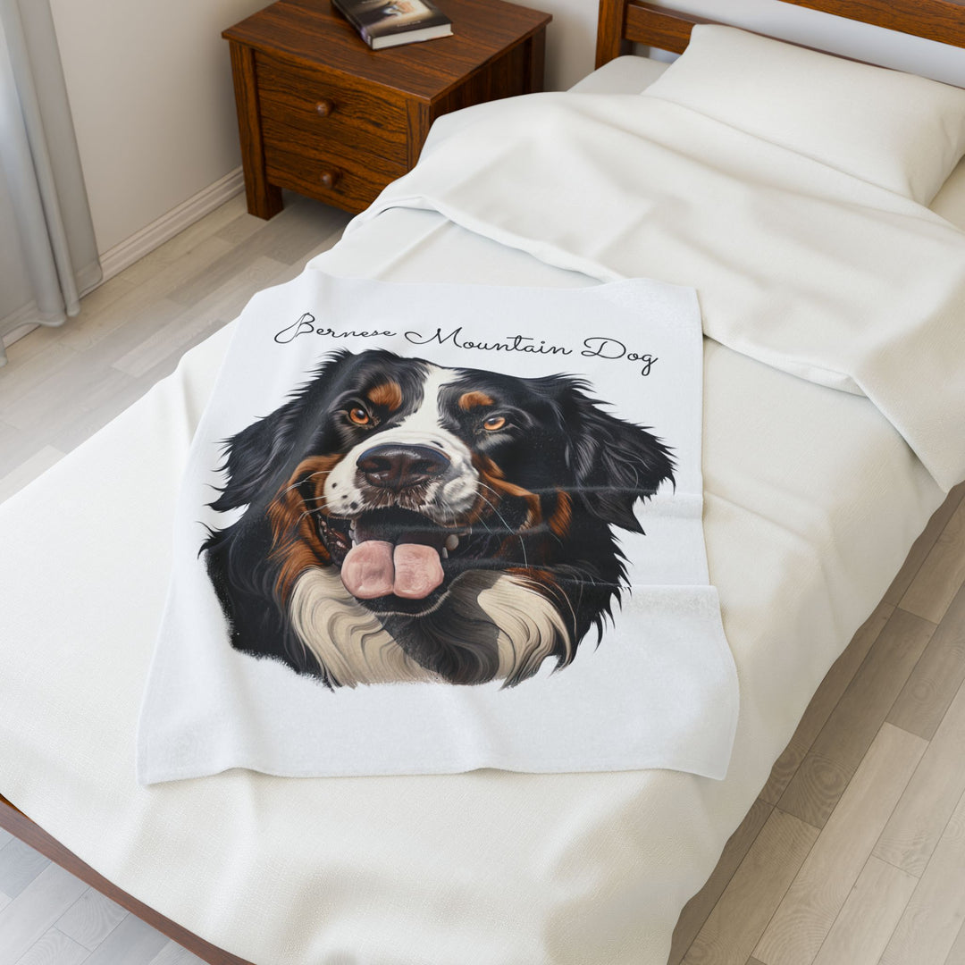 Bernese Mountain Dog Velveteen Plush Blanket with White Background - 3 Sizes available cozy throw dog lover - Pet mom gift