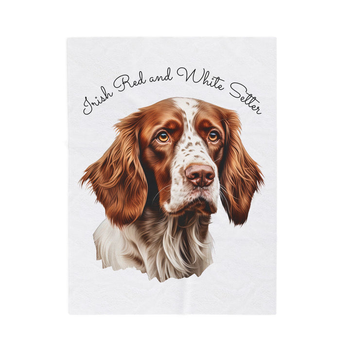 Irish Red and White Setter Portrait Velveteen Plush Blanket