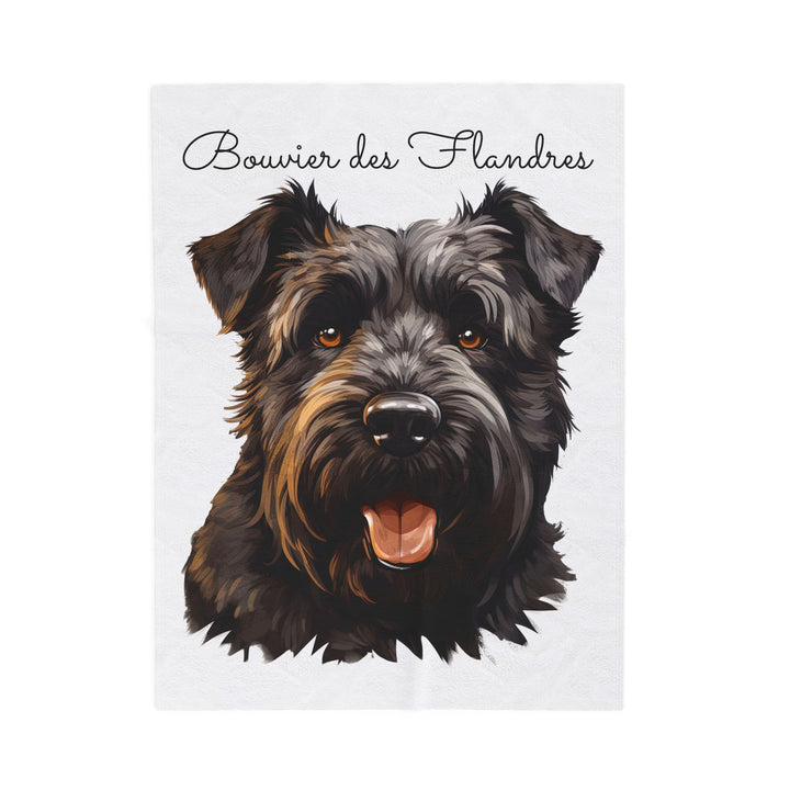 Bouvier des Flandres Velveteen Plush Blanket with White Background - 3 Sizes available cozy throw dog lover - Pet mom gift