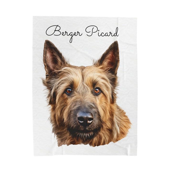 Berger Picard Velveteen Plush Blanket with White Background - 3 Sizes available cozy throw dog lover - Pet mom gift