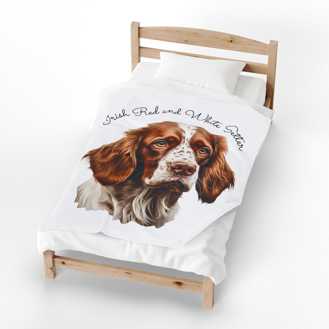 Irish Red and White Setter Portrait Velveteen Plush Blanket