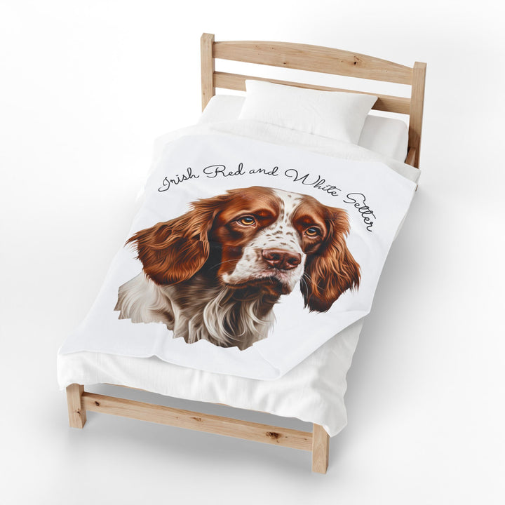 Irish Red and White Setter Portrait Velveteen Plush Blanket